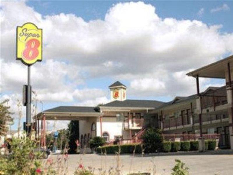 Hill Country Inn & Suites - New Braunfels, Gruene Extérieur photo