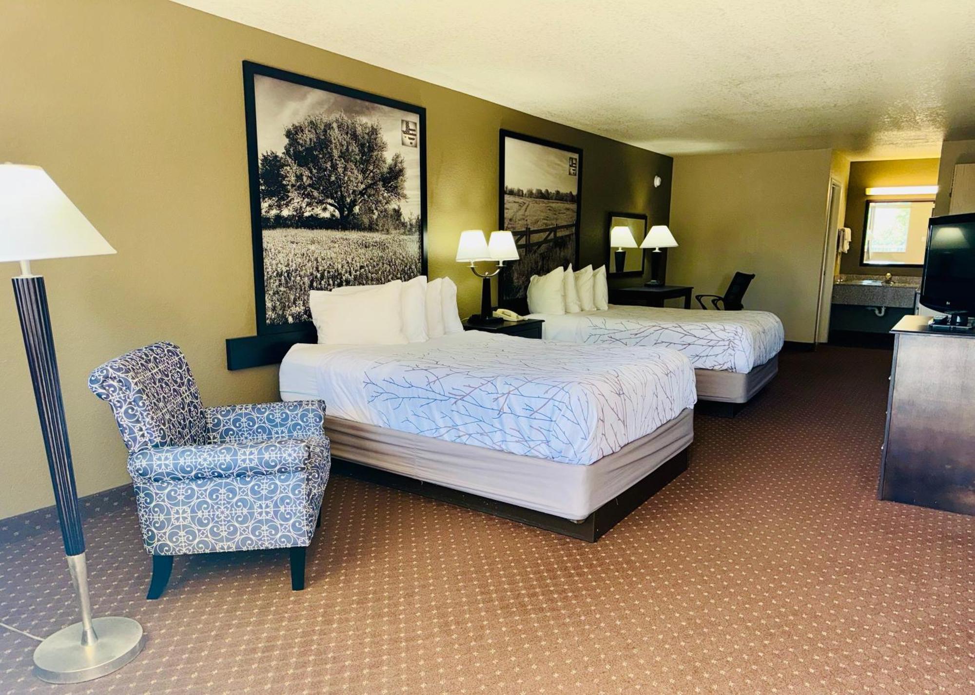 Hill Country Inn & Suites - New Braunfels, Gruene Extérieur photo